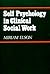 Self Psychology in Clinical Social Work (Norton Professional Book)