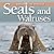 Exploring the World of Seals and Walruses
