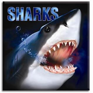 Sharks (Hardcover)