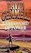 Last Sword of Power (Stones of Power, #2)