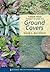 Timber Press Pocket Guide to Ground Covers