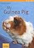 My Guinea Pig by Immanuel Birmelin My Guinea Pig by Immanuel Birmelin