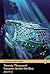 20,000 Leagues Under the Sea [With CD] by Jules Verne