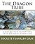 The Dragon Tribe: A Guide for Parenting in a Chinese Adoption