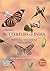 Butterflies of India