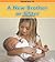 A New Brother or Sister (Heinemann Read and Learn: Growing Up)