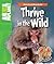 Weird and Wonderful by Phil Whitfield