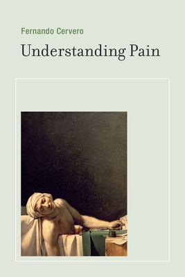 Understanding Pain (Hardcover)