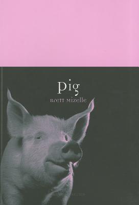 Pig (Animal)
