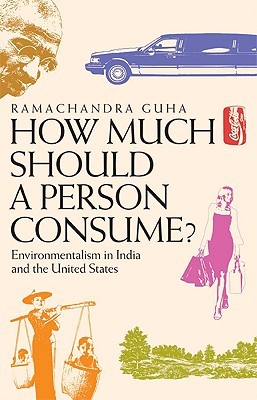 How Much Should a Person Consume?: Environmentalism in India and the United States (Paperback)