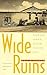 Wide Ruins: Memories from a Navajo Trading Post