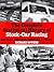 The Complete Statistical History of Stock-Car Racing: Records, Streaks, Oddities, and Trivia
