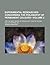 Experimental Researches Concerning The Philosophy Of Permanent Colours
