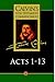 Acts of the Apostles 1-13 (Calvin's New Testament Commentaries, Vol 6)