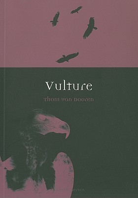 Vulture (Animal)