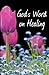 God's Word on Healing by Nancy Insley