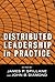 Distributed Leadership in Practice (Critical Issues in Educational Leadership Series)