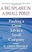 A Big Splash in a Small Pond: Finding a Great Job in a Small Company