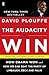 The Audacity to Win: How Obama Won and How We Can Beat the Party of Limbaugh, Beck, and Palin