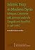 Islamic Piety in Medieval Syria: Mosques, Cemeteries and Sermons under the Zangids and Ayyūbids (1146-1260) (Jerusalem Studies in Religion and Culture, 7)