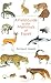 A Field Guide to the Mammals of Egypt