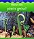 How Do Plants Grow? (World Of Plants)