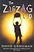 The Zigzag Kid by David Grossman