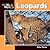 Leopards (Our Wild World)