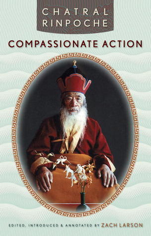Compassionate Action (Paperback)