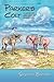 Parker's Colt, A Novel of New Mexico Ranch Life by Stephen  Zimmer