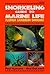 Snorkeling Guide to Marine Life Florida, Caribbean, Bahamas by Paul Humann