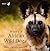 In Search of the African Wild Dog: The Right to Survive