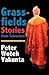 Grassfields Stories from Cameroon by Peter Wuteh Vakunta