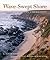 Wave-Swept Shore: The Rigor...