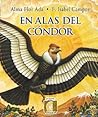 En Alas del Condor (Puertas al Sol)