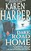 Dark Road Home (A Maplecreek Amish Novel, 1)