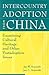 Intercountry Adoption from China: Examining Cultural Heritage and Other Postadoption Issues