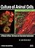 Culture of Animal Cells by R. Ian Freshney