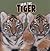 Save the Tiger