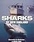 Sharks of New England