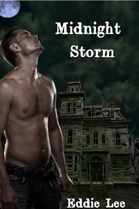 Midnight Storm (ebook)