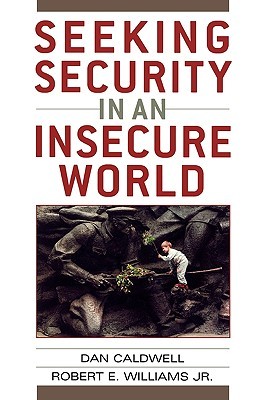 Seeking Security in an Insecure World (Paperback)