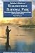 Flyfisher's Guide to Yellowstone National Park by Ken Retallic