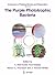 The Purple Phototrophic Bacteria (Advances in Photosynthesis and Respiration, 28)
