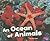 Ocean of Animals by Janine Scott