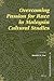 Overcoming Passion for Race in Malaysia Cultural Studies by David C.L. Lim