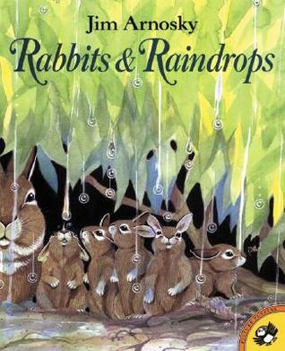 Rabbits & Raindrops (Paperback)