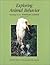 Exploring Animal Behavior: ...