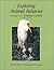 Exploring Animal Behavior: Readings From American Scientist