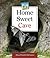 Home Sweet Cave (Animal Homes)